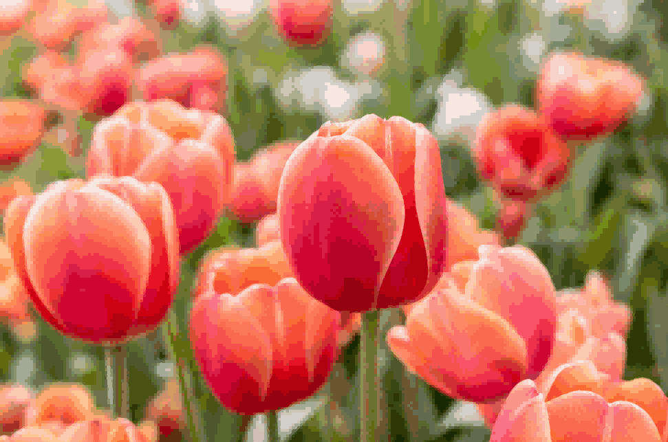 海关数据,PA真人视讯海关数据,荷兰海关数据