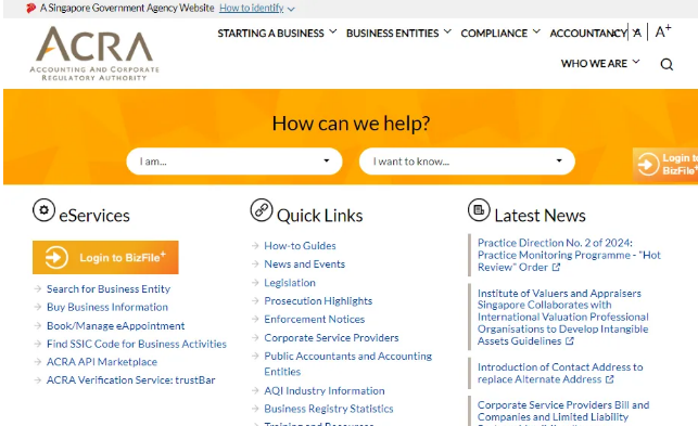 新加坡注册实体